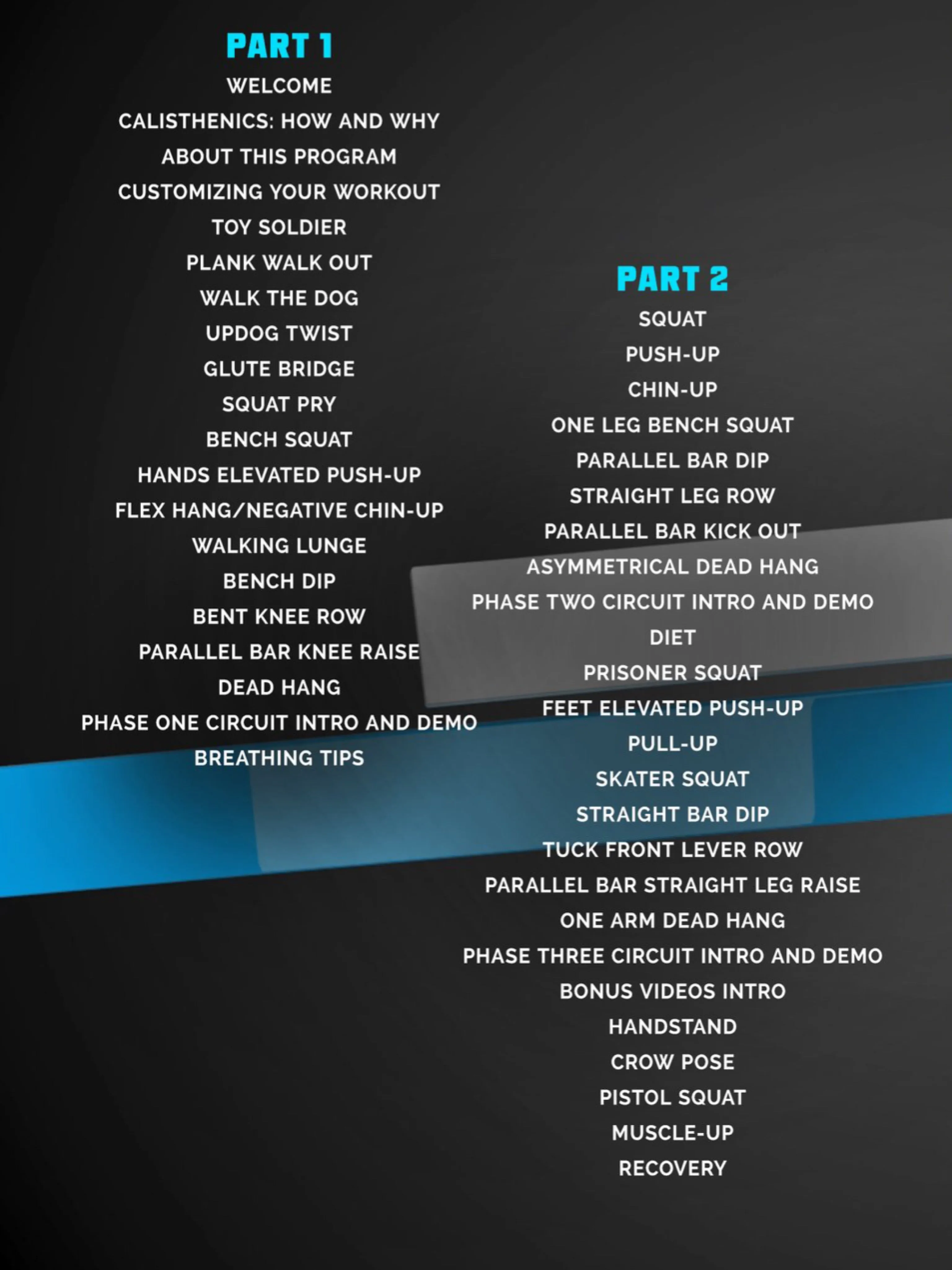 Calisthenics Conditioning by Al Kavadlo