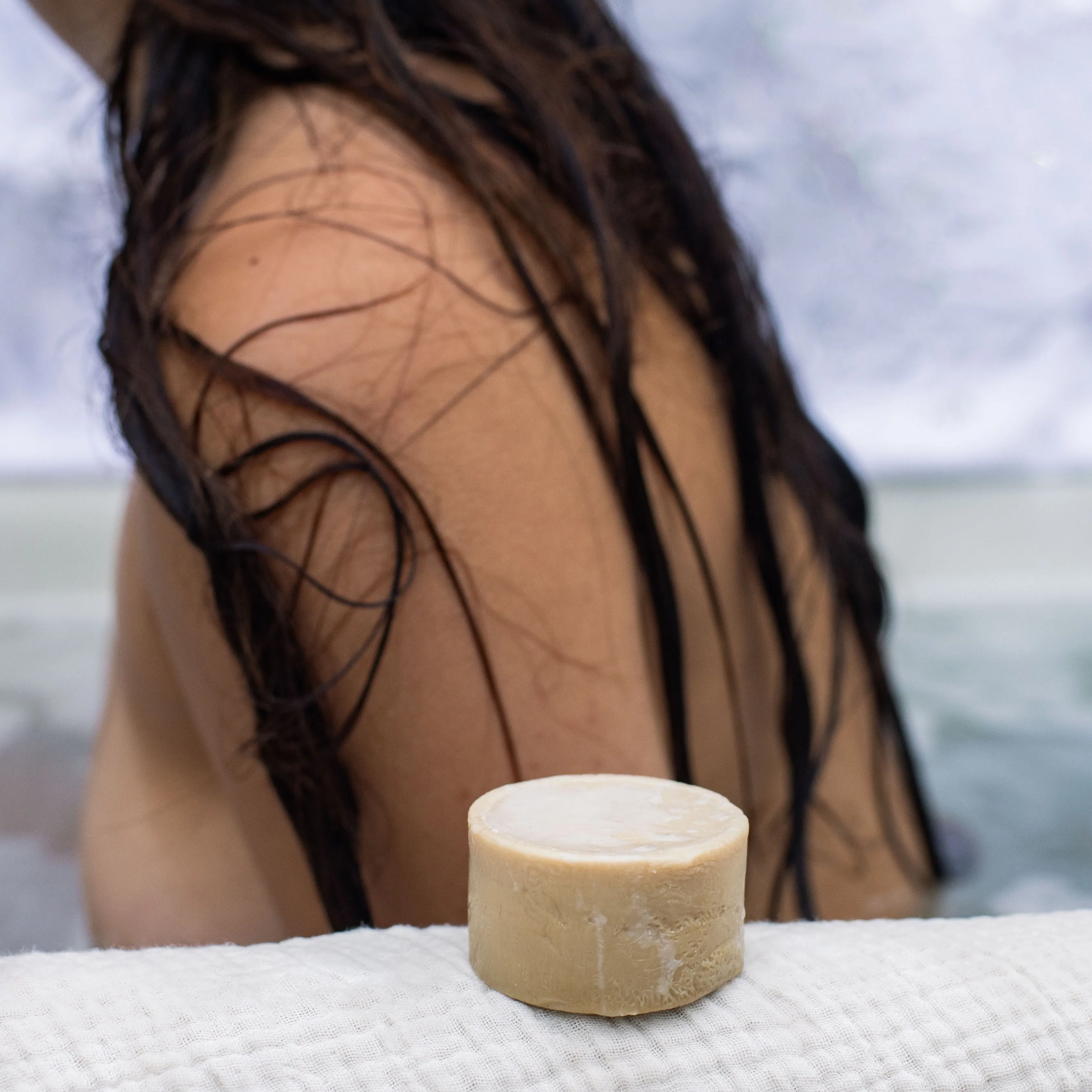 Wild Rose Conditioner Bar | Botanical Hair Care Collection