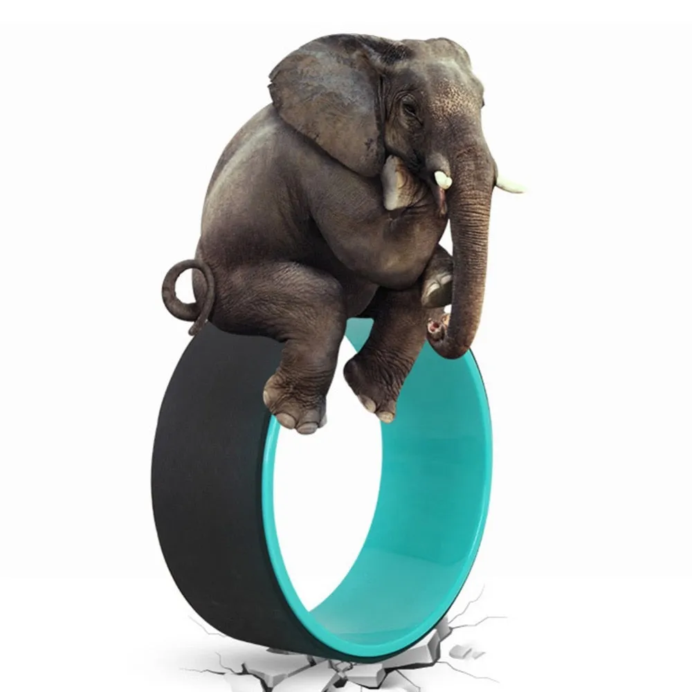 Yoga Wheel Training Tool